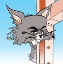 tom.jpg