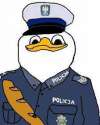 Policja.jpg