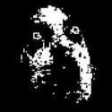 1460486361304.jpg