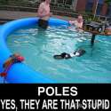 Polish-Stereotypes-STEREOTYPES-AND-PREJUDICES-about-the-poles.jpg