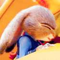 why judy.gif