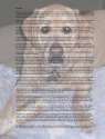1373768508186.jpg