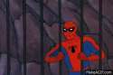 Spidey.gif