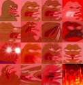 10478134_768532819946959_8899902076734234959_n.jpg
