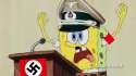 Sponge.jpg