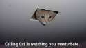 3CtqiT7.jpg