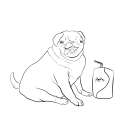 dogsoda.png