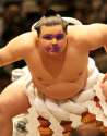 sumofragile.jpg
