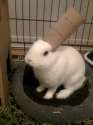 1369119577333.jpg