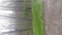 20160413_175256.jpg