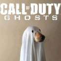 CALL OF DUTY DOG.jpg