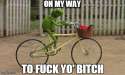 bike ho.jpg