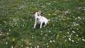 IMG-20160326-WA0004.jpg