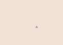 Untitled-5.gif