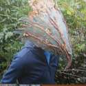 artworks-000008268976-exgkm0-t500x500.jpg
