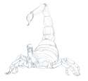 ScorpionGirl.png