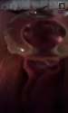 Screenshot_2015-09-25-13-10-00.png