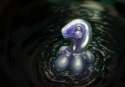 1280842139.meandraco_floatation_devices_2_u18chan.png