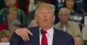trump no.png
