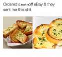 wheres my turtle.png