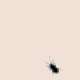 bug.gif