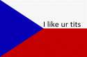 flagge-tschechische-republik.gif