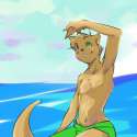 336083_SoraSlipheed_otter.jpg