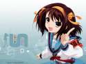 4122331-3040478949-Suzum.jpg