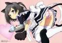 Tsukiko Tsusukaku (5).jpg