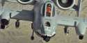 brrrrt-and-ernie.jpg