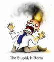 the stupid.jpg