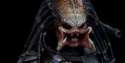 The predator.jpg