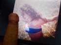 DSCN0550.jpg