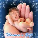 heavens_gift.jpg