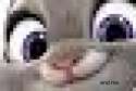 thisisnotarabbit.png