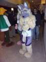 1366939438.dershep_1366145285.rockett.coyote_fcn_2013_023.jpg