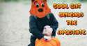 COOL CAT BEHEADS A MURTADIN.png