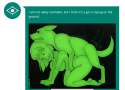 girl lying on the ground.png