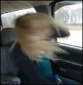 image.gif