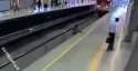 Train Rolled WORKING.gif