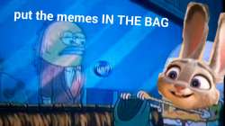 putthememesinthebag.jpg