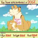 91de0f8e9bfa1e8bf023809a6c20ffbe.gif