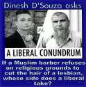 LiberalConundrum.jpg