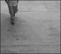 1347099924779.gif