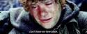 :(.gif
