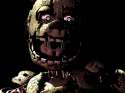 Spring_trap_3.jpg
