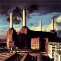 pink floyd - animals.jpg