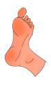 foot.png