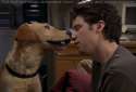 .dogkissing.jpg