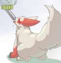Zangoose173.png